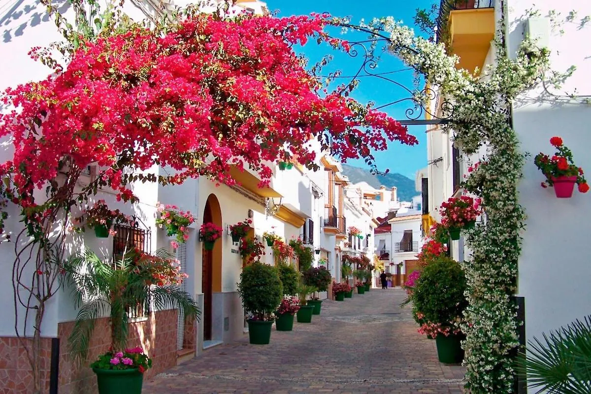 Casa Andaluza En El Centro Hisotrico De Estepona - Portada 16 Holiday home